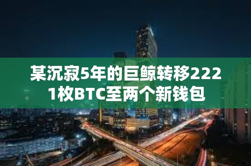 某沉寂5年的巨鲸转移2221枚BTC至两个新钱包
