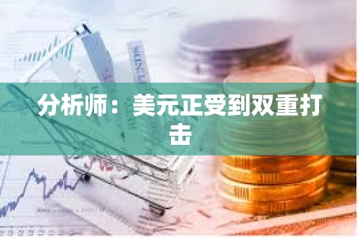 分析师：美元正受到双重打击