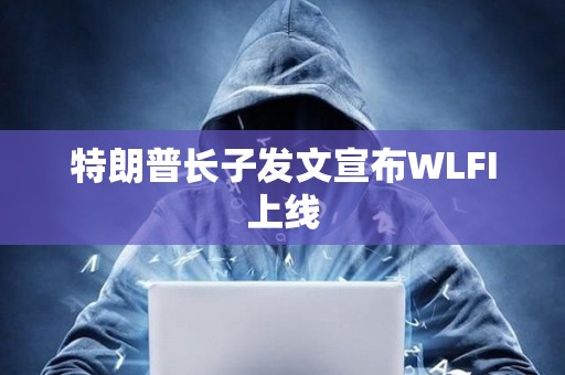 特朗普长子发文宣布WLFI上线