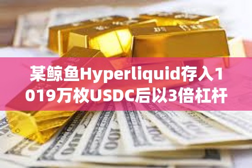 某鲸鱼Hyperliquid存入1019万枚USDC后以3倍杠杆做空WLFI