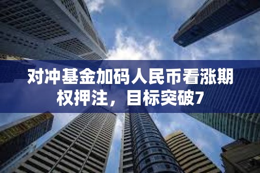 对冲基金加码人民币看涨期权押注，目标突破7