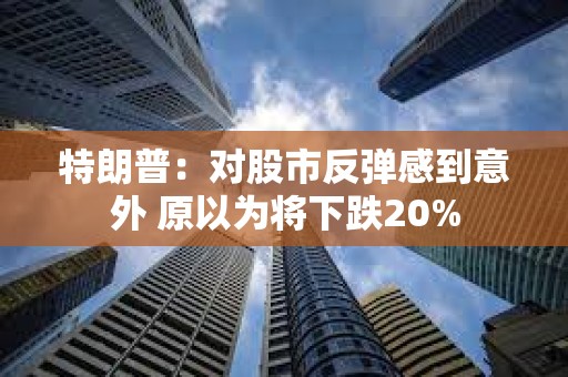 特朗普：对股市反弹感到意外 原以为将下跌20%