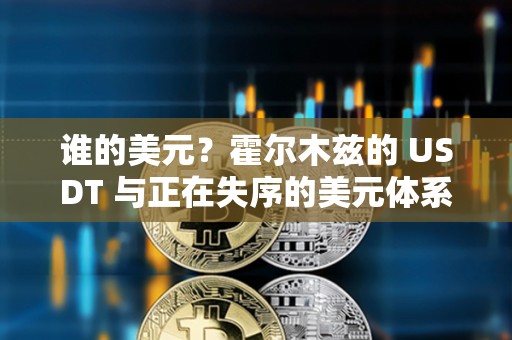 谁的美元？霍尔木兹的 USDT 与正在失序的美元体系