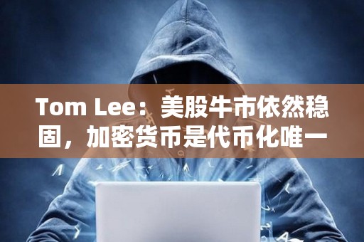Tom Lee：美股牛市依然稳固，加密货币是代币化唯一途径