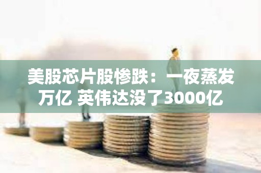 美股芯片股惨跌：一夜蒸发万亿 英伟达没了3000亿