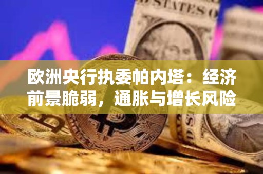 欧洲央行执委帕内塔：经济前景脆弱，通胀与增长风险并存