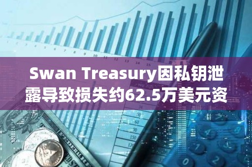 Swan Treasury因私钥泄露导致损失约62.5万美元资金