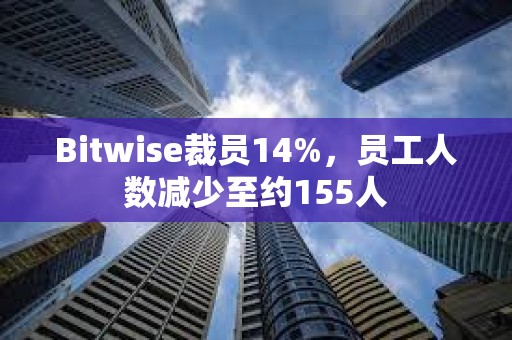 Bitwise裁员14%，员工人数减少至约155人