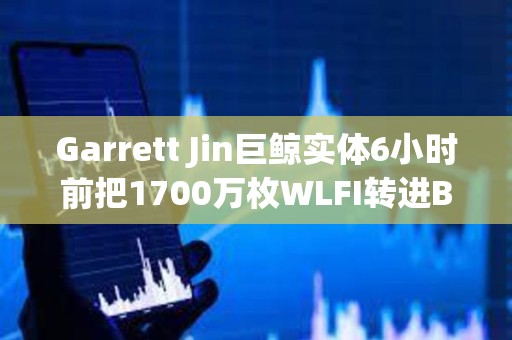 Garrett Jin巨鲸实体6小时前把1700万枚WLFI转进Binance，价值101万美元