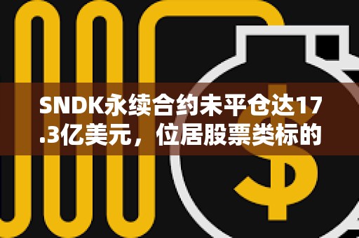 SNDK永续合约未平仓达17.3亿美元，位居股票类标的首位