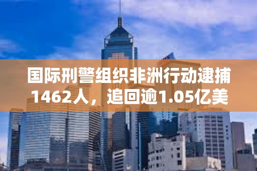 国际刑警组织非洲行动逮捕1462人，追回逾1.05亿美元
