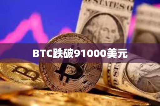 BTC跌破91000美元