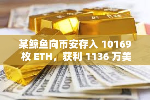 某鲸鱼向币安存入 10169 枚 ETH，获利 1136 万美元