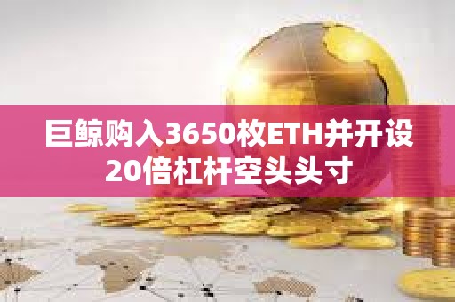 巨鲸购入3650枚ETH并开设20倍杠杆空头头寸