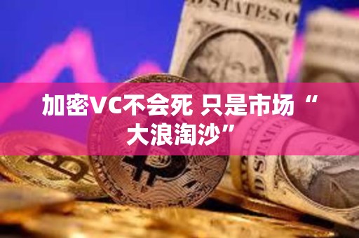 加密VC不会死 只是市场“大浪淘沙”