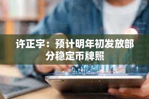 许正宇：预计明年初发放部分稳定币牌照