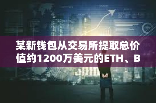 某新钱包从交易所提取总价值约1200万美元的ETH、BNB、USDT