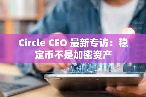 Circle CEO 最新专访：稳定币不是加密资产