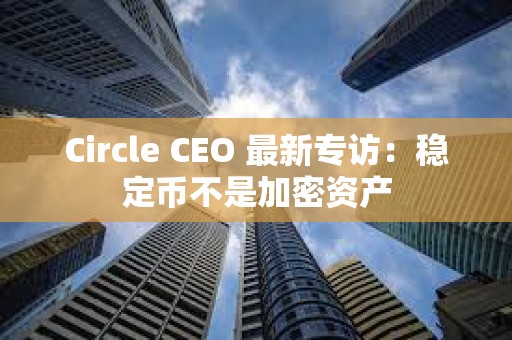 Circle CEO 最新专访：稳定币不是加密资产