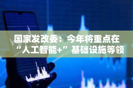 国家发改委：今年将重点在“人工智能+”基础设施等领域，开展一系列扩大有效投资行动
