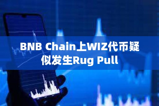 BNB Chain上WIZ代币疑似发生Rug Pull