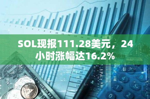 SOL现报111.28美元，24小时涨幅达16.2%