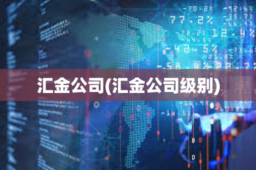 汇金公司(汇金公司级别) 汇金公司(汇金公司级别)