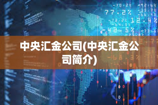 中央汇金公司(中央汇金公司简介) 中央汇金公司(中央汇金公司简介)