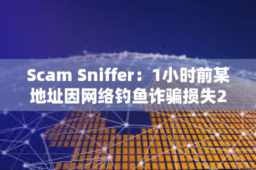 Scam Sniffer：1小时前某地址因网络钓鱼诈骗损失25万美元资产