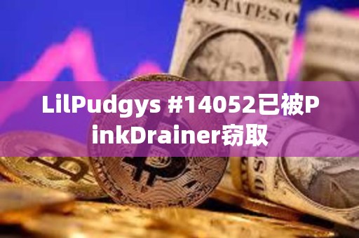 LilPudgys #14052已被PinkDrainer窃取