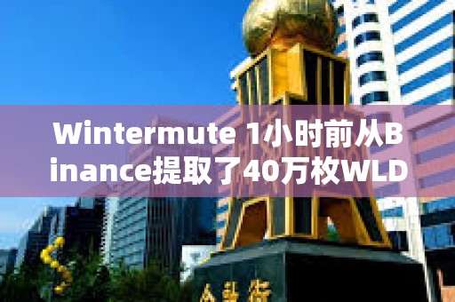 Wintermute 1小时前从Binance提取了40万枚WLD