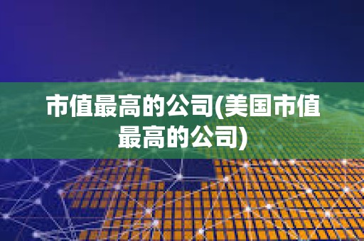 市值最高的公司(美国市值最高的公司)