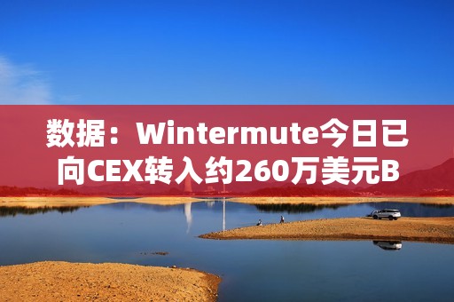 数据：Wintermute今日已向CEX转入约260万美元BLUR