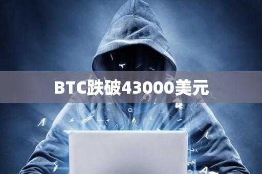BTC跌破43000美元