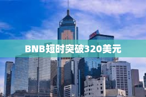 BNB短时突破320美元