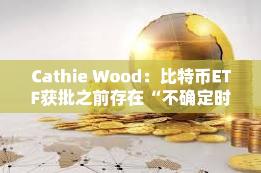 Cathie Wood：比特币ETF获批之前存在“不确定时刻”