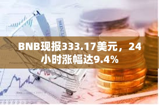 BNB现报333.17美元，24小时涨幅达9.4%