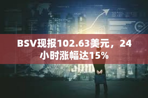 BSV现报102.63美元，24小时涨幅达15%