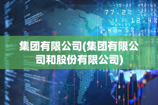 集团有限公司(集团有限公司和股份有限公司) 集团有限公司(集团有限公司和股份有限公司)