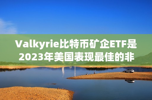 Valkyrie比特币矿企ETF是2023年美国表现最佳的非杠杆ETF
