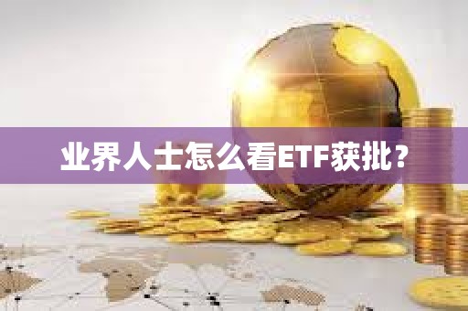 业界人士怎么看ETF获批？