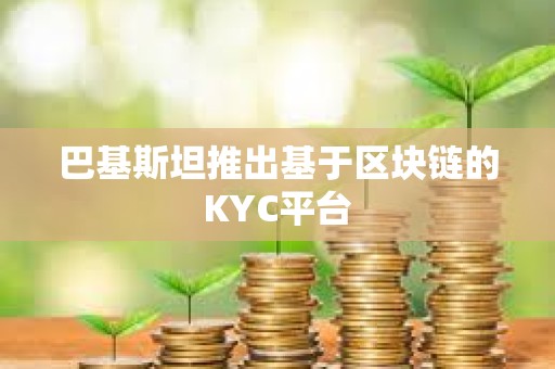 巴基斯坦推出基于区块链的KYC平台