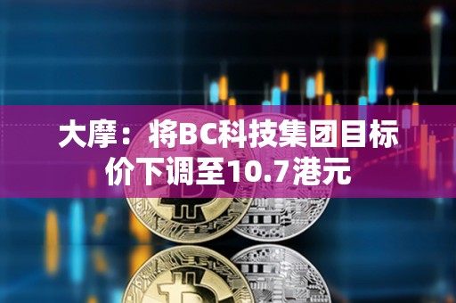 大摩：将BC科技集团目标价下调至10.7港元