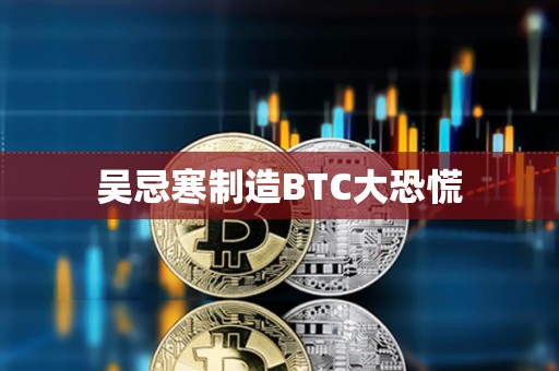 吴忌寒制造BTC大恐慌