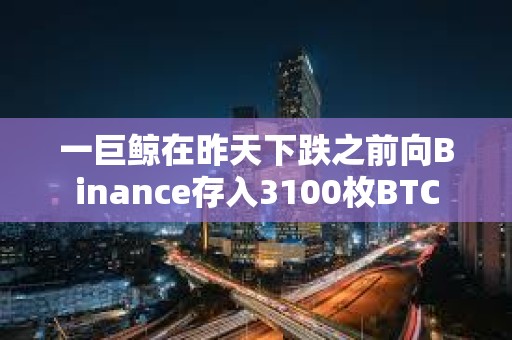 一巨鲸在昨天下跌之前向Binance存入3100枚BTC