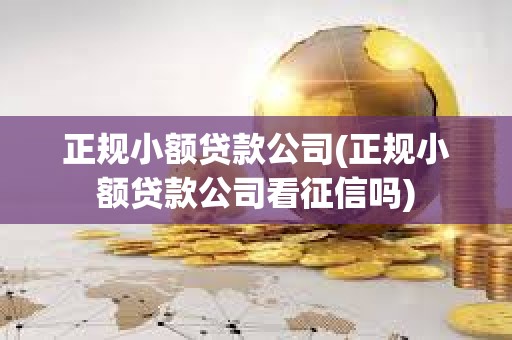 正规小额贷款公司(正规小额贷款公司看征信吗)