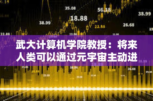 武大计算机学院教授：将来人类可以通过元宇宙主动进入AI的世界