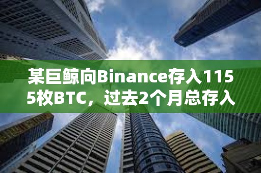 某巨鲸向Binance存入1155枚BTC，过去2个月总存入5362枚BTC
