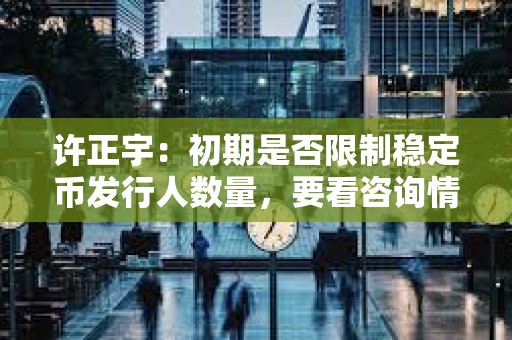 许正宇：初期是否限制稳定币发行人数量，要看咨询情况以及市场的反应