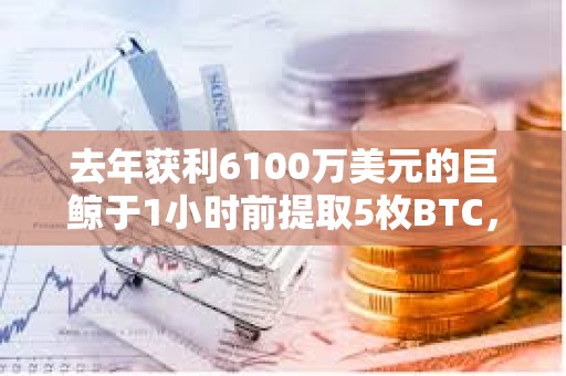 去年获利6100万美元的巨鲸于1小时前提取5枚BTC，或作为测试交易